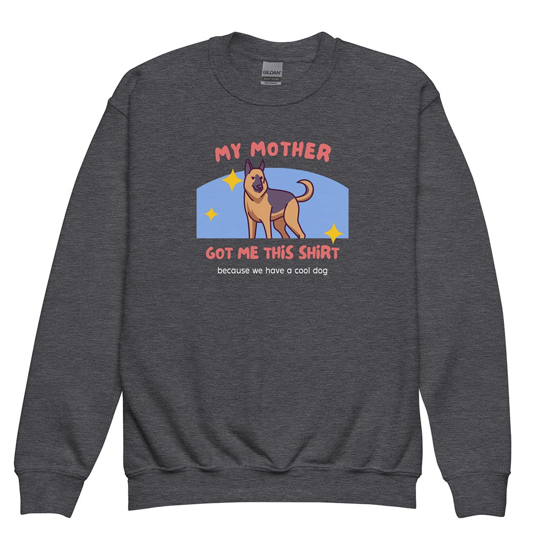 My mother got me this shirt sweatshirt for kids, grey color - GSD Colony
