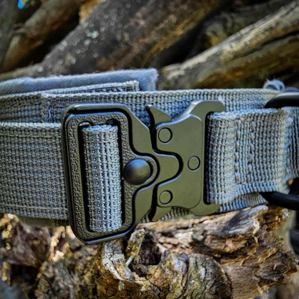 Professional tactical German Shepherd Collar