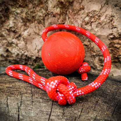Redque™ German Shepherd training ball on the rope 1