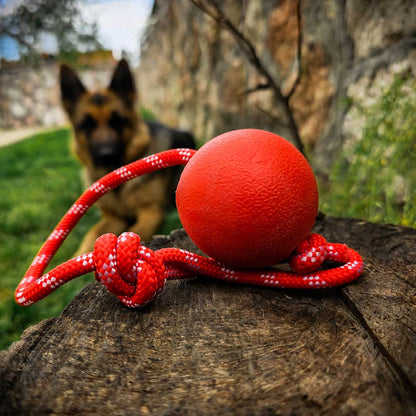 Redque™ German Shepherd training ball on the rope 4