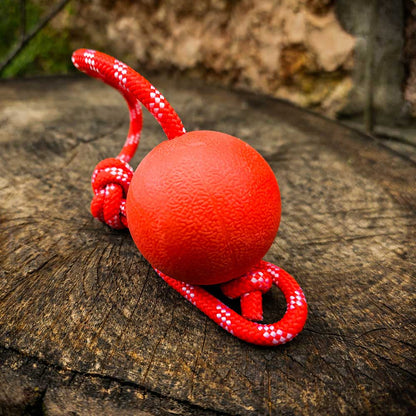 Redque™ German Shepherd training ball on the rope 5