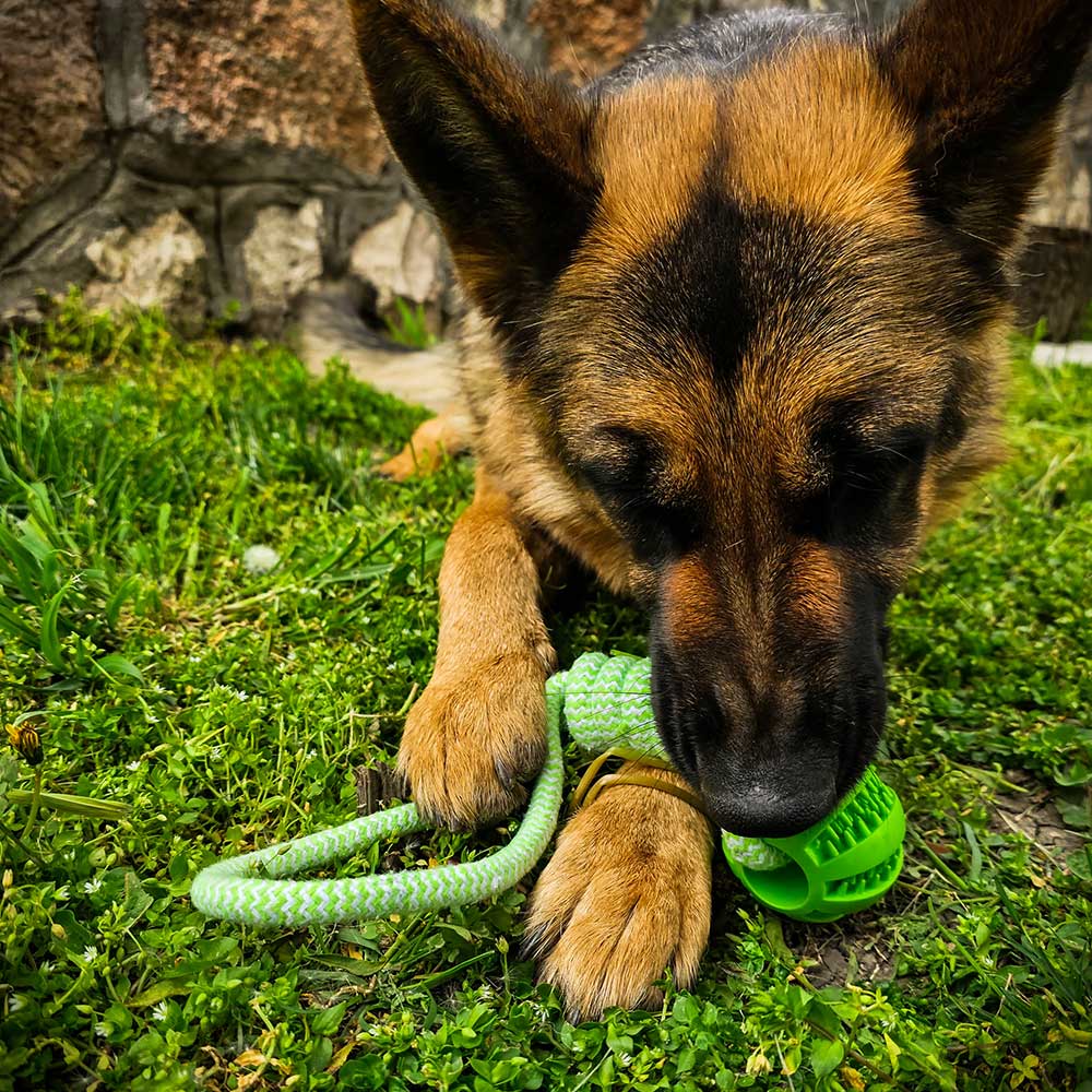 RuffRope® Teething German Shepherd ball 3