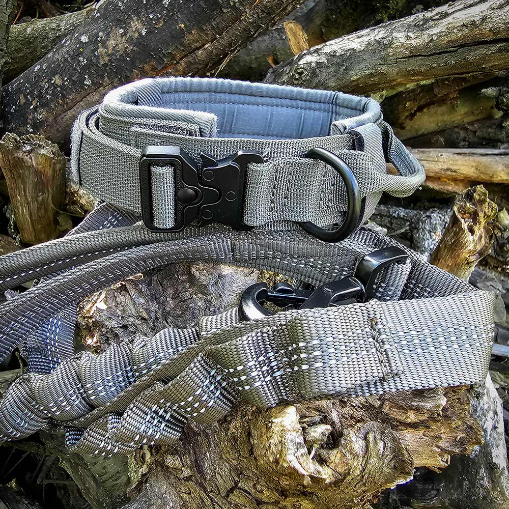 German Shepherd tactical collar and leash set in grey color