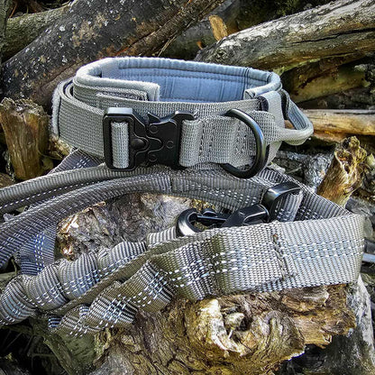 German Shepherd tactical collar and leash set in grey color