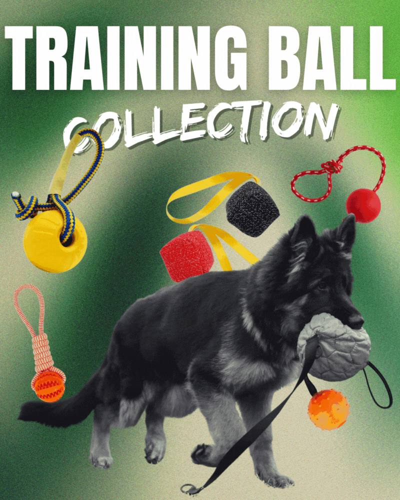 Training ball collection by GSD Colony for German Shepherds
