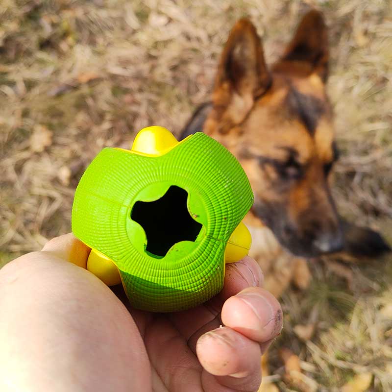 Avocadoly® Interactive German Shepherd Toy – GSD Colony