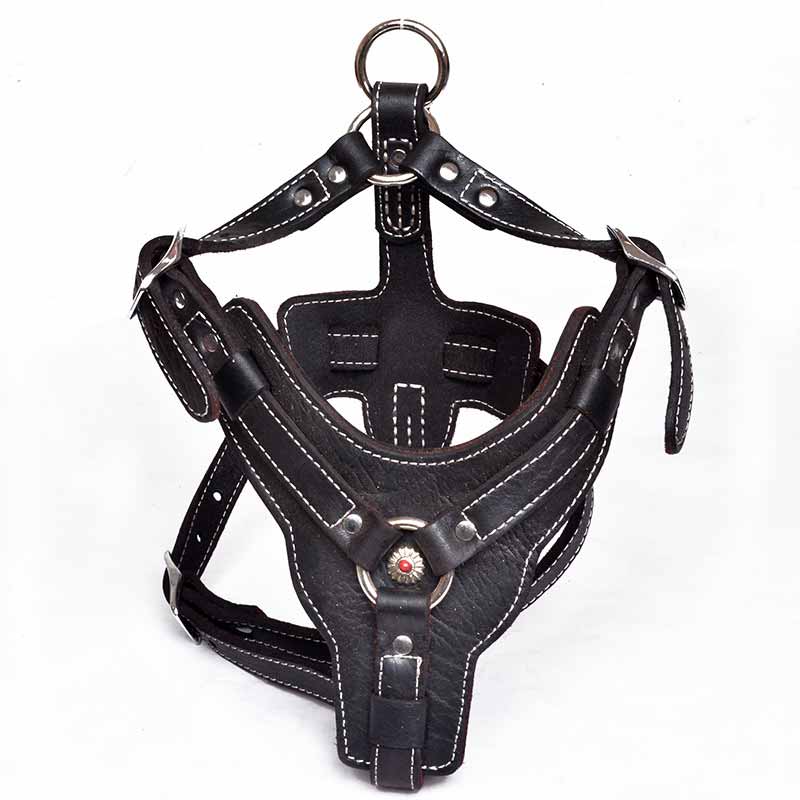Black leather dog harness for German Shepherd with handle - GSD Colony shop