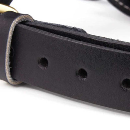 Dog leather harness, premium materials