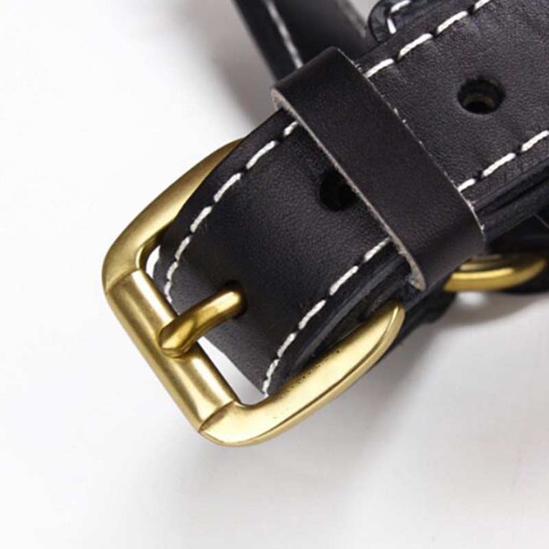 Durable Buckle of GSD Colony Leather dog harness