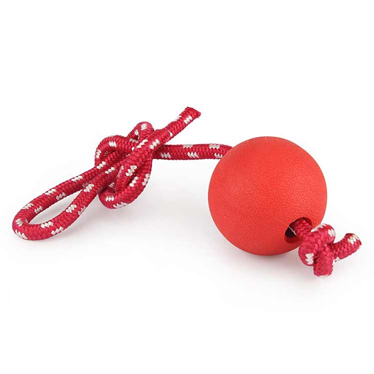 Durable Training Dog Red Ball on Rope - GSD Colony Shop