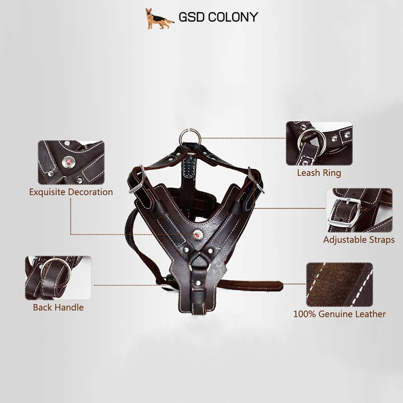 Features of GSD Colony genuine leather dog harness