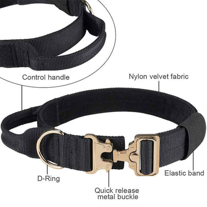 Features of GSD Colony Tactical K9 Dog Collar With Handle
