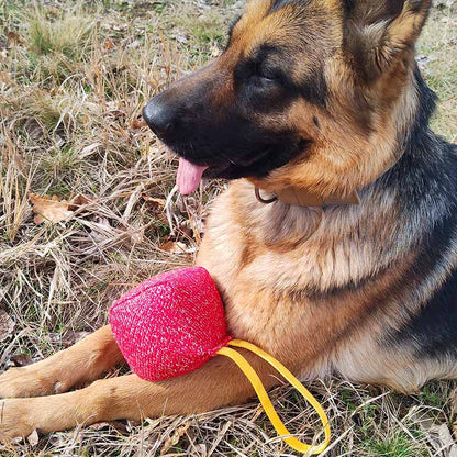 German Shepherd and large ball plush ball on rope - GSD Colony