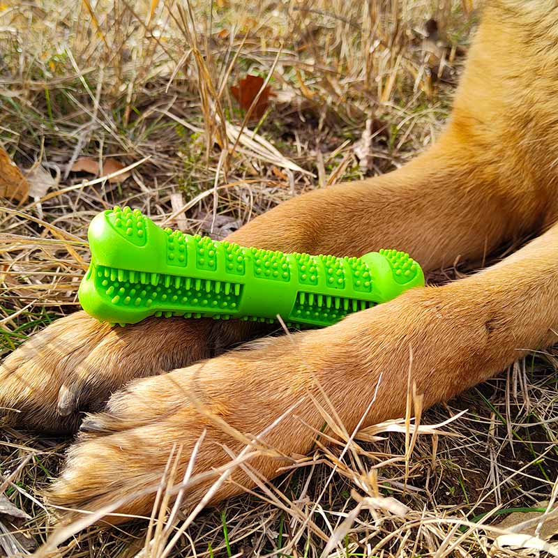 German Shepherd dental chewing bone - GSD Colony