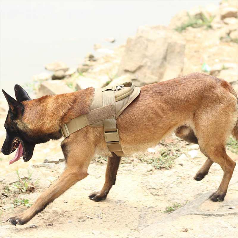 German Shepherd dog durable tactical harness with handle