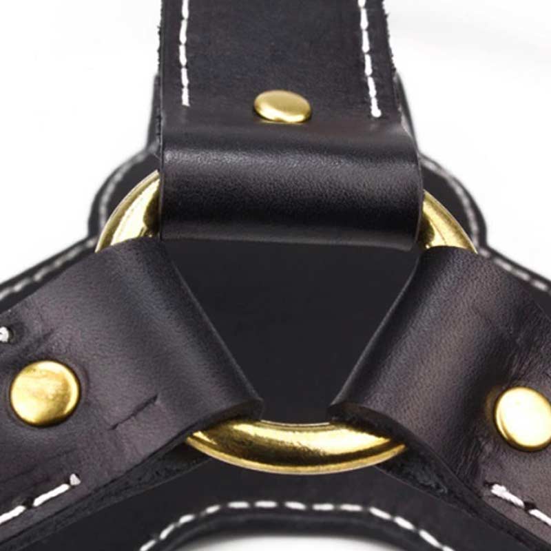 German Shepherd dog professional leather dog harness - GSD Colony shop