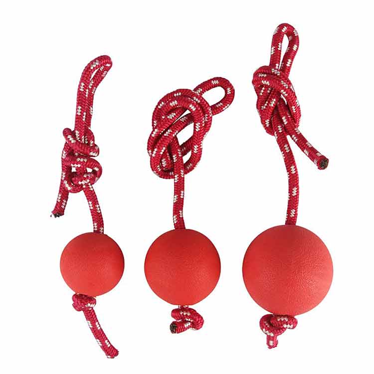 German Shepherd Dog Training Red Ball on Rope - GSD Colony Shop