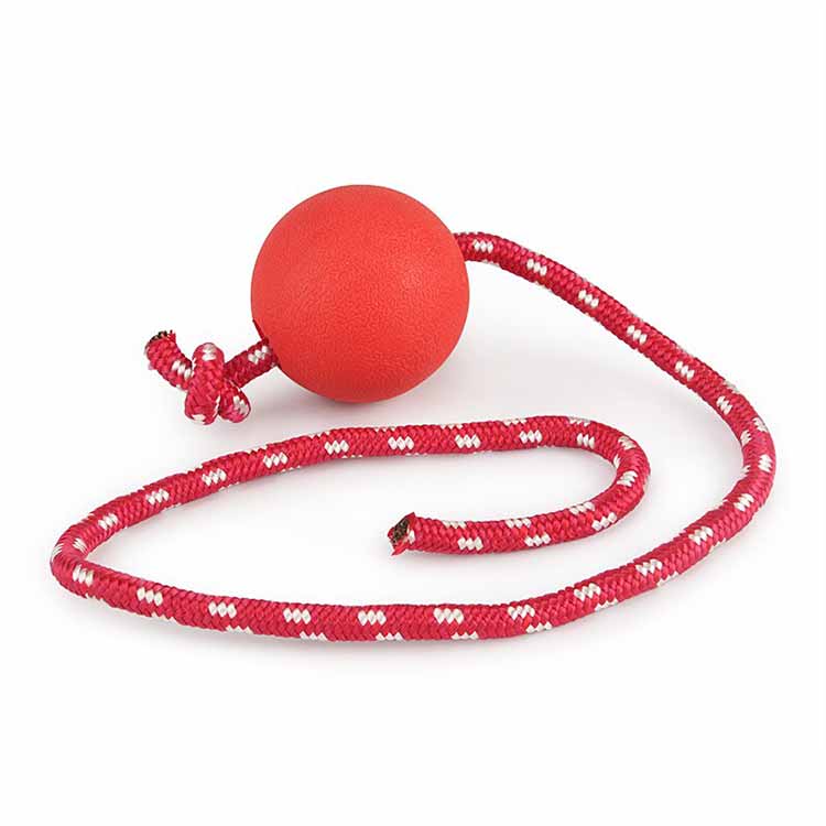 German Shepherd Dog Training Red Ball on Rope - GSD Colony Shop