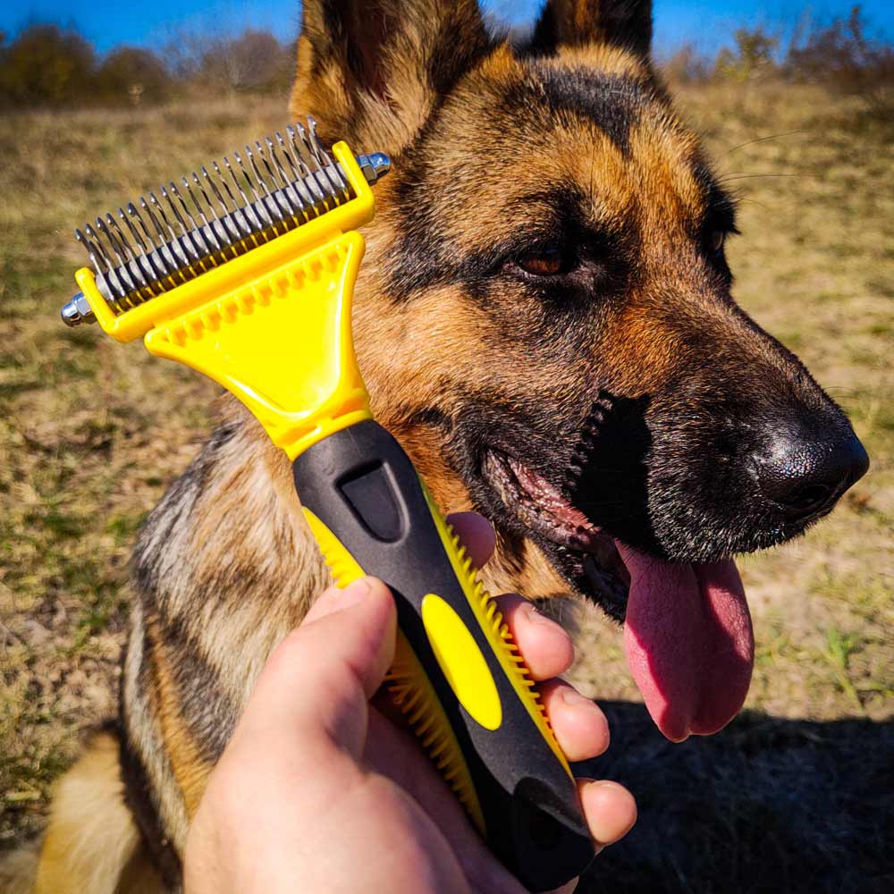 German Shepherd dog with Brusy® Dog Grooming Brush - GSD Colony