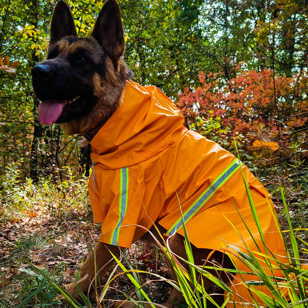 German shepherd sale rain gear