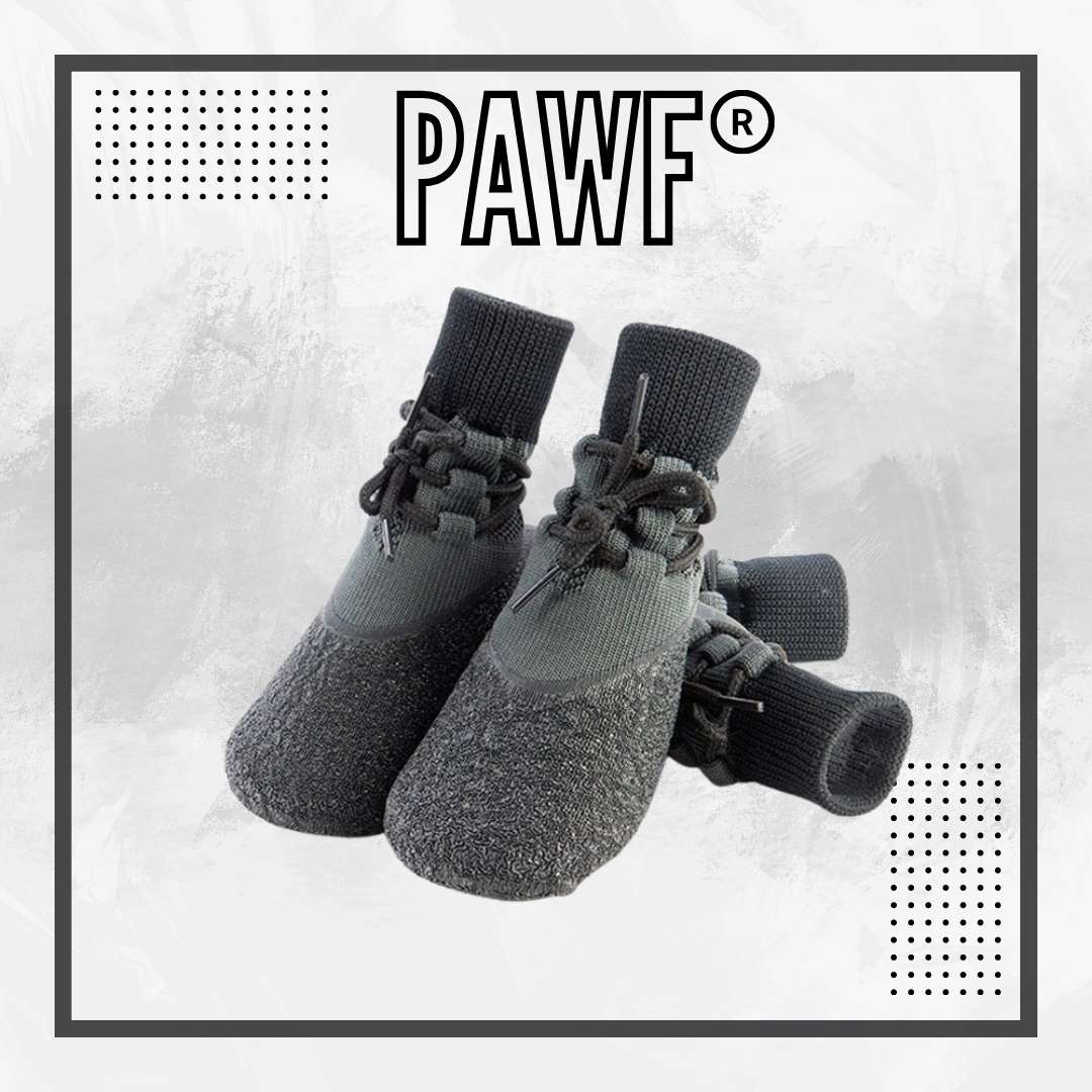 German Shepherd PAWF elegant dog shoes