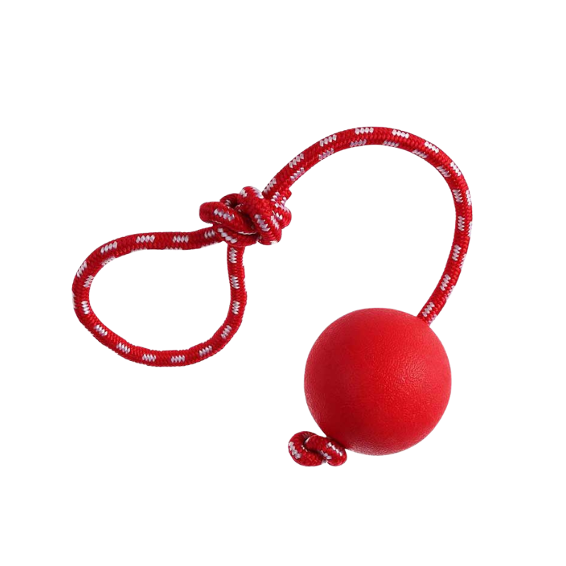 German Shepherd red ball on the rope