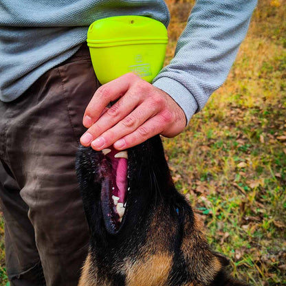 German Shepherd training with silicone treat pouch