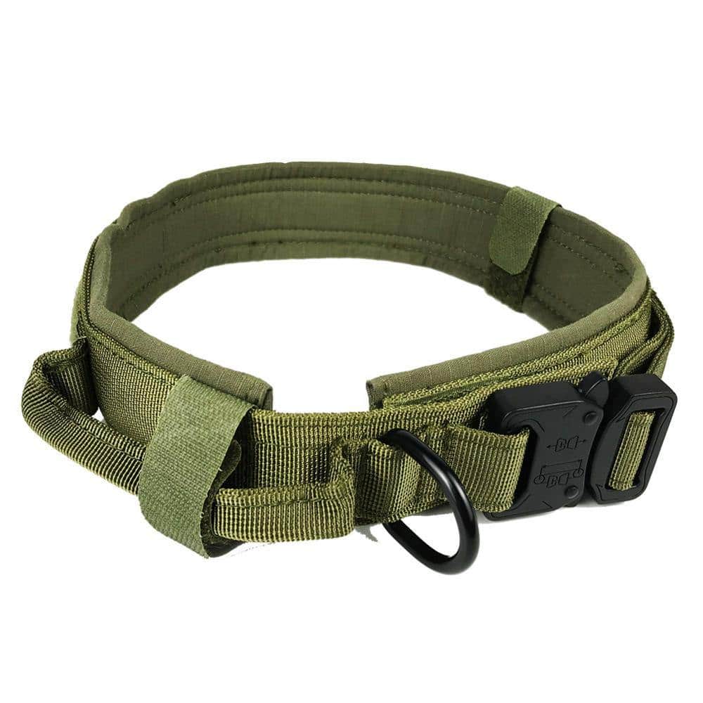 Gsd hotsell dog collars