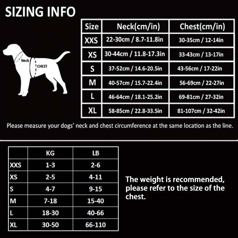 How To Measure My Dog For Dog Harness