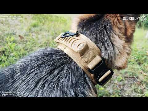 Devillance™ Tactical Collar for Working Dogs and German Shepherds - GSD Colony