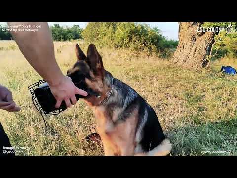 Muzzlester™ Tactical Dog Muzzles - GSD Colony