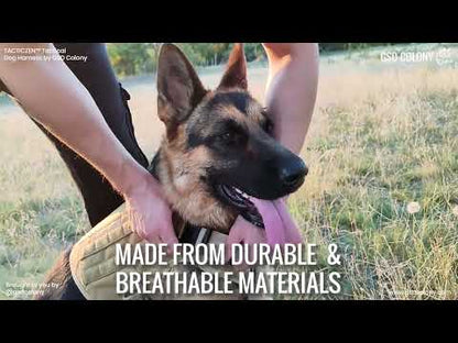 TACTICZEN™ Tactical Dog Harness by GSD Colony