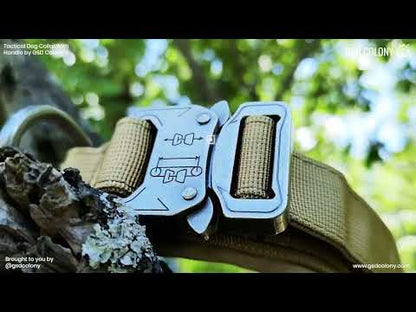 Tactical collar with handle for German Shepherds - GSD Colony
