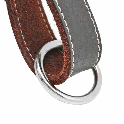 O ring for dog leash on GSD Colony leather harness