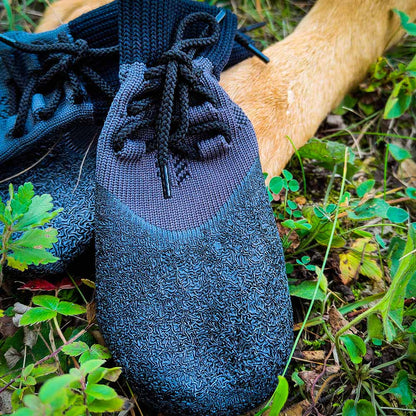 Pawf German Shepherd protection shoes by GSD Colony
