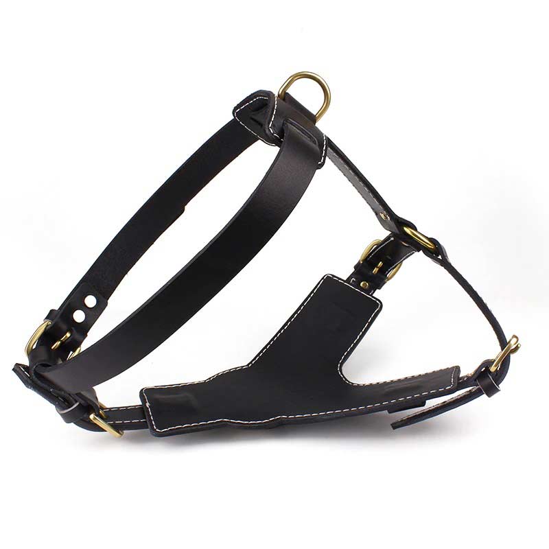 Professional dog leather harness - GSD Colony shop