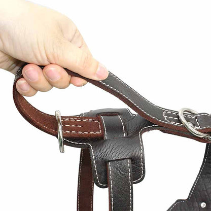 Quick grab handle of leather harness - GSD Colony shop