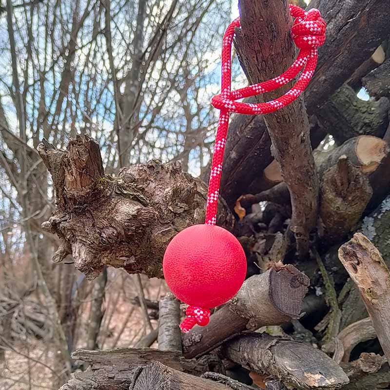 Redque German Shepherd dog training ball on the rope - GSD Colony