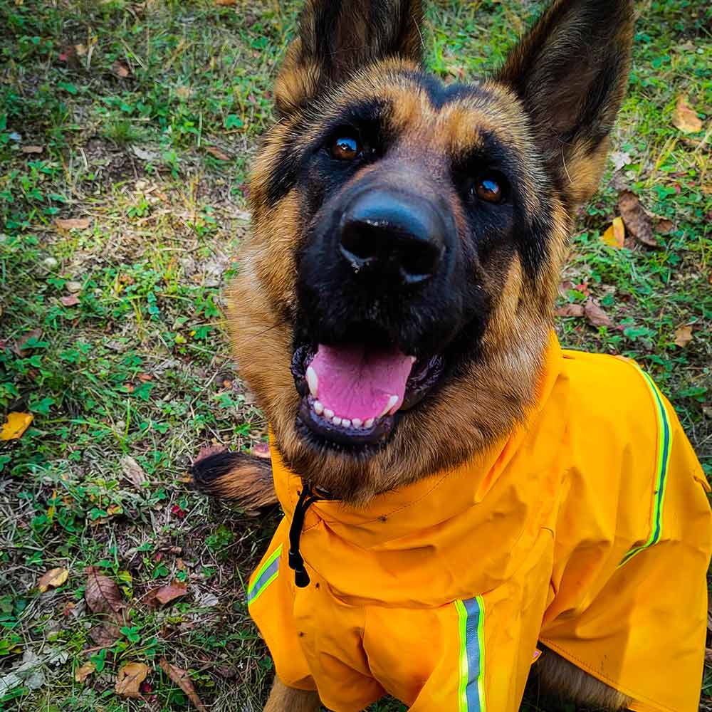 REPARK® German Shepherd waterproof yellow raincoat