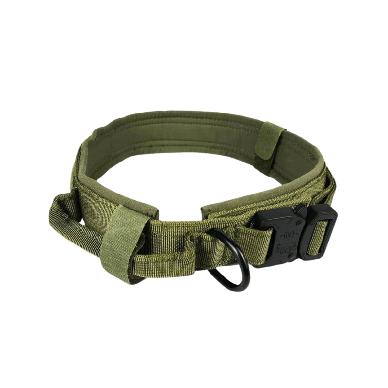 Tactical German Shepherd dog green collar with handle
