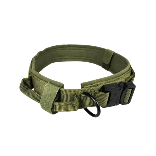 Tactical German Shepherd dog green collar with handle