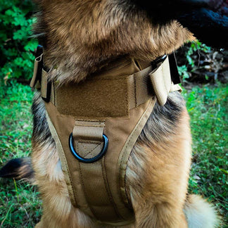 Tactical K9 Dog Harness - TACTICZEN™ K9 Dog Harness – GSD Colony