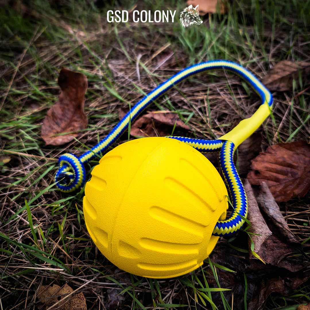 Yellow training ball on the rope - GSD Colony